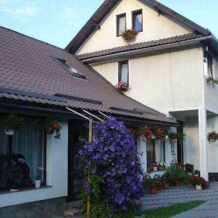 Casa Elena 호텔 모이에치우 데 조스 외부 사진